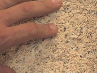 Produire et construire en chanvre en pays mellois