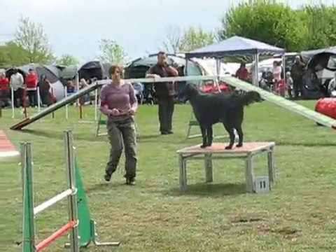 concours d'agility du subdray le 02-05-2010 097