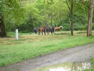 maniabilité attelage