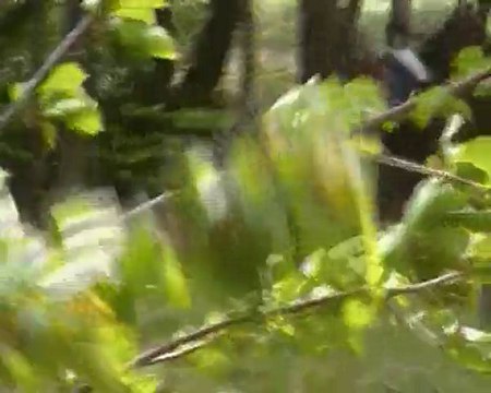 Ocaraflame et Célia CCE Am2 Corlaix sur le cross