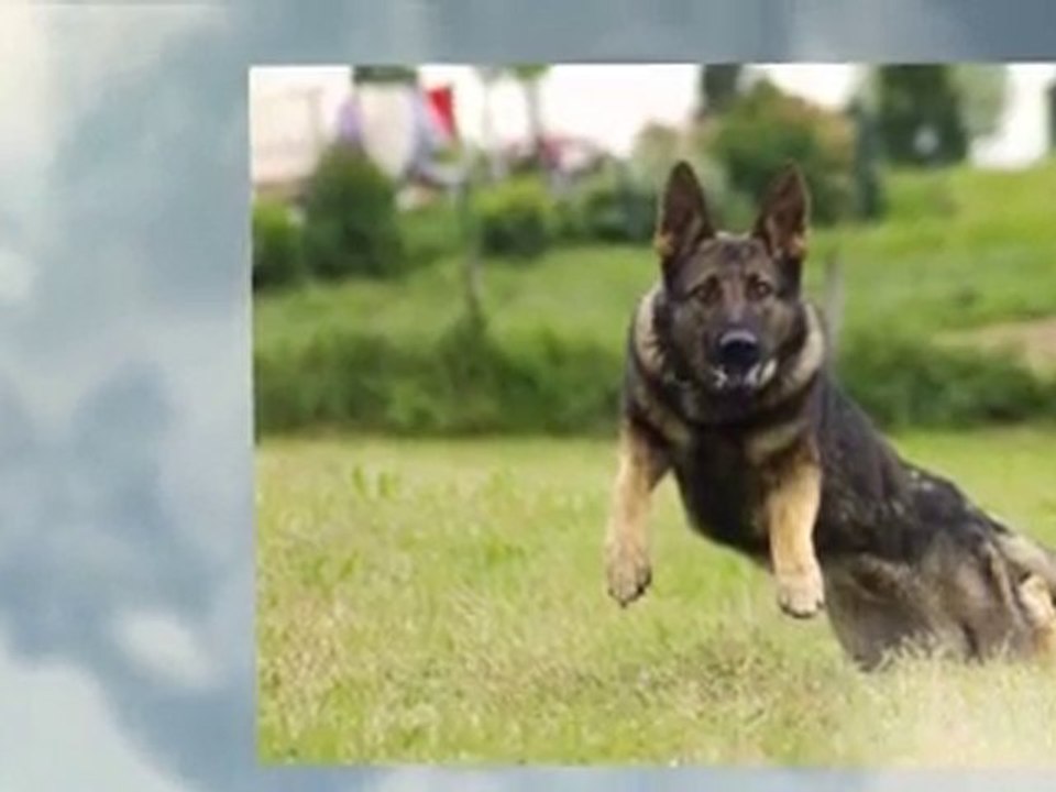 portrait et action caluire agility