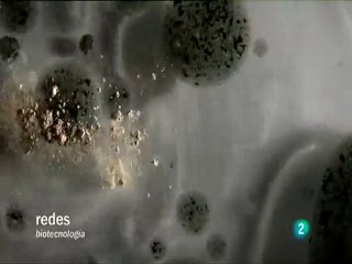 Biotecnologia: Aplicaciones y limitaciones
