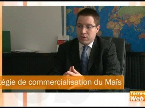 Les conseils en stratégie de commercialisation