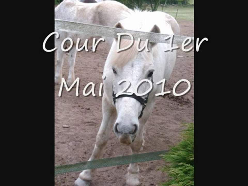 Moi Et Jokaï