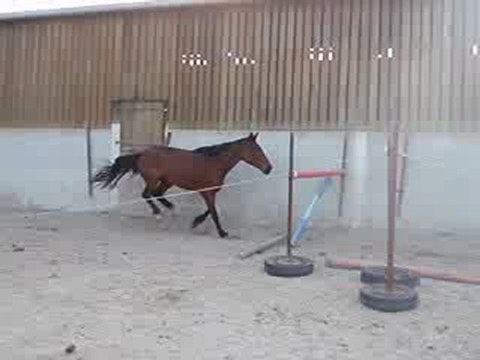 Ecurie du Nevez Starlette 1