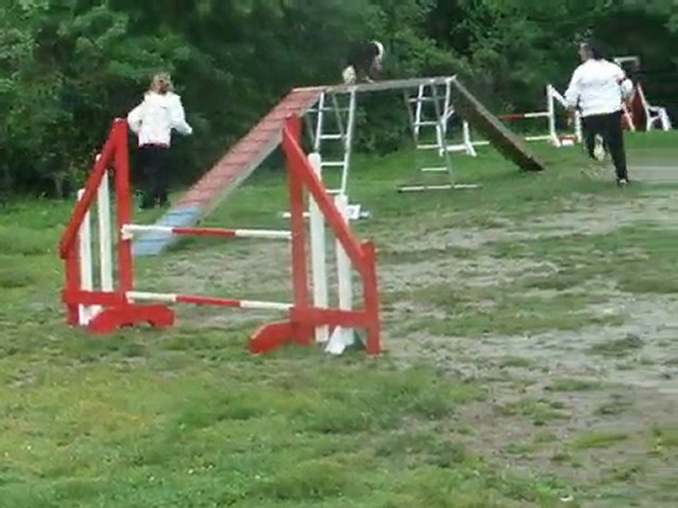 Cayenne agility 3 degré Sélectif Régional 2010