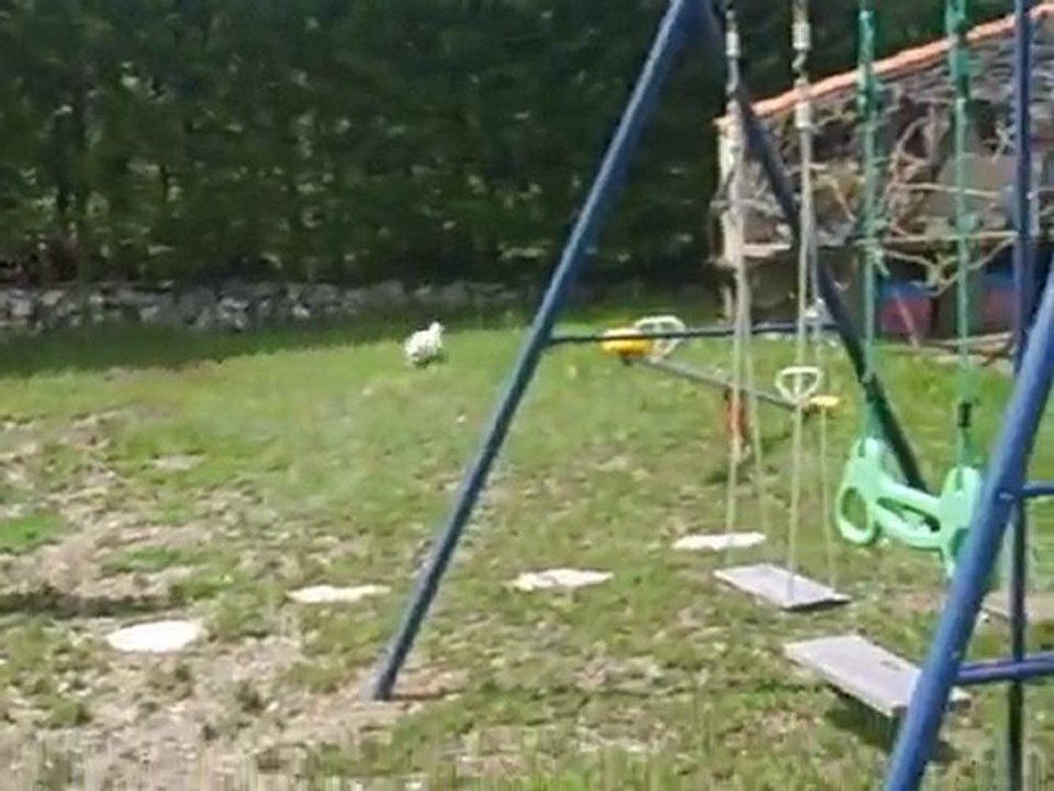 junior chez mes parents au plan d'aups st baume