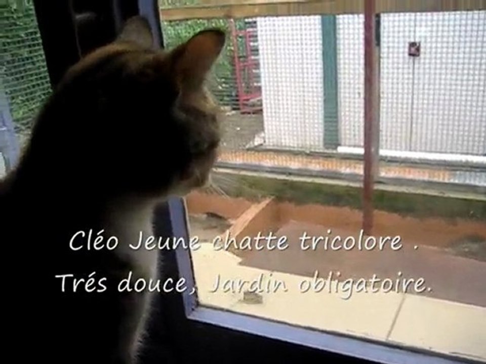 Cléo et Moïse_0001