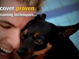 Training your dog videos, fun and interactive !