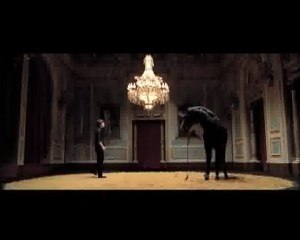 Fernando Alonso doma un caballo para Viceroy