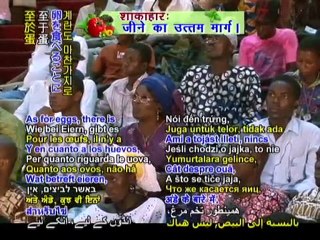 How to help Africa tackle global warming P13