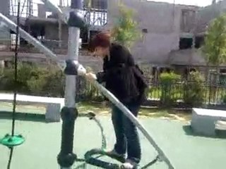 chrulutus et fifer 2