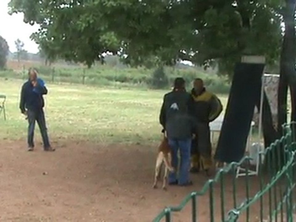 Gun defense à Roquebrune Mondioring