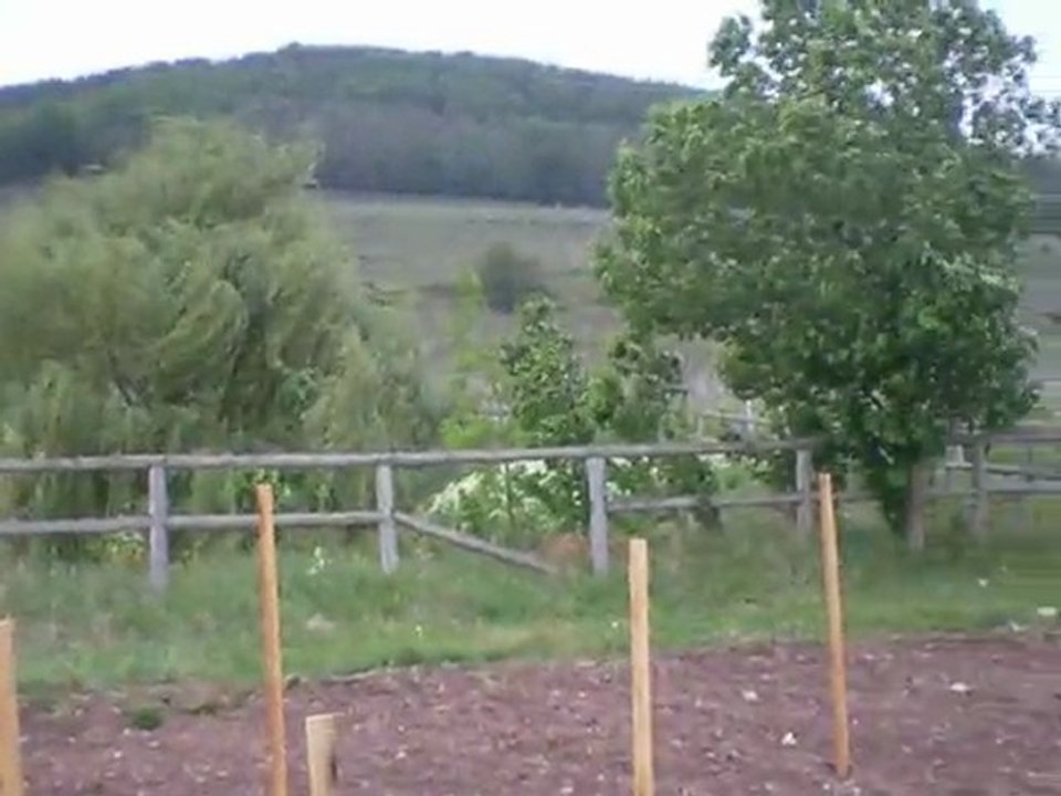 5 Mai 2010 dans les vignes.... froid et venteux