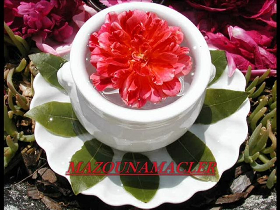 ๑۩۞۩๑d๑۩۞۩๑cheb khaled ....ghir zarga wa ana๑۩۞۩๑h๑۩۞۩๑