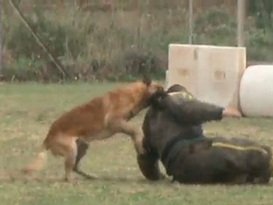 Mondioring Gun fuyante à Roquebrune