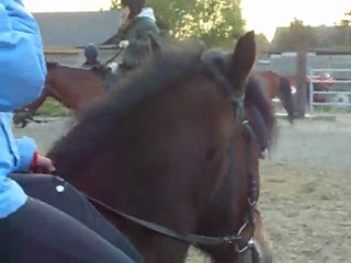 Saut d'obstacle du 05 / 05 / 2010