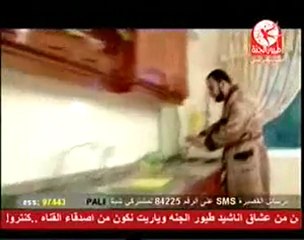 toyor ljanaa طيور الجنة