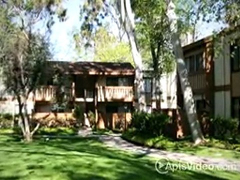 Alicia Village Apartments in Laguna Hills, CA - ForRent.com