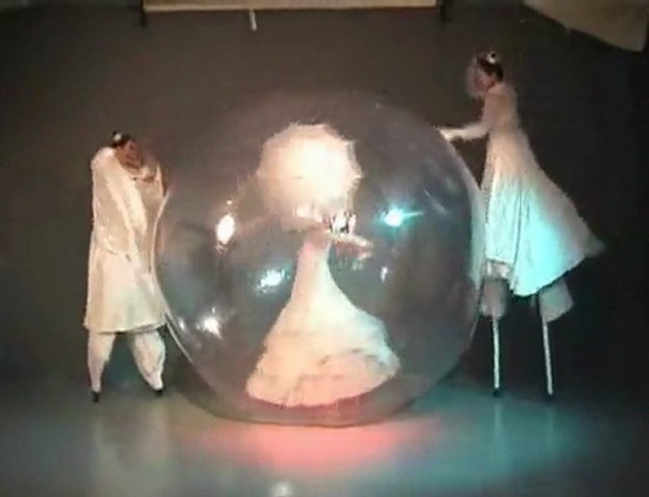 2 échassiers et 1 bulle