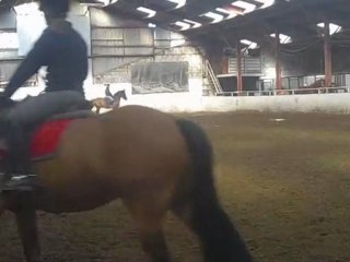 balou pas trops motivé a travailler