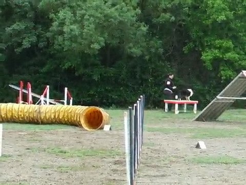 Dawa agility Sélectif Régional 2010