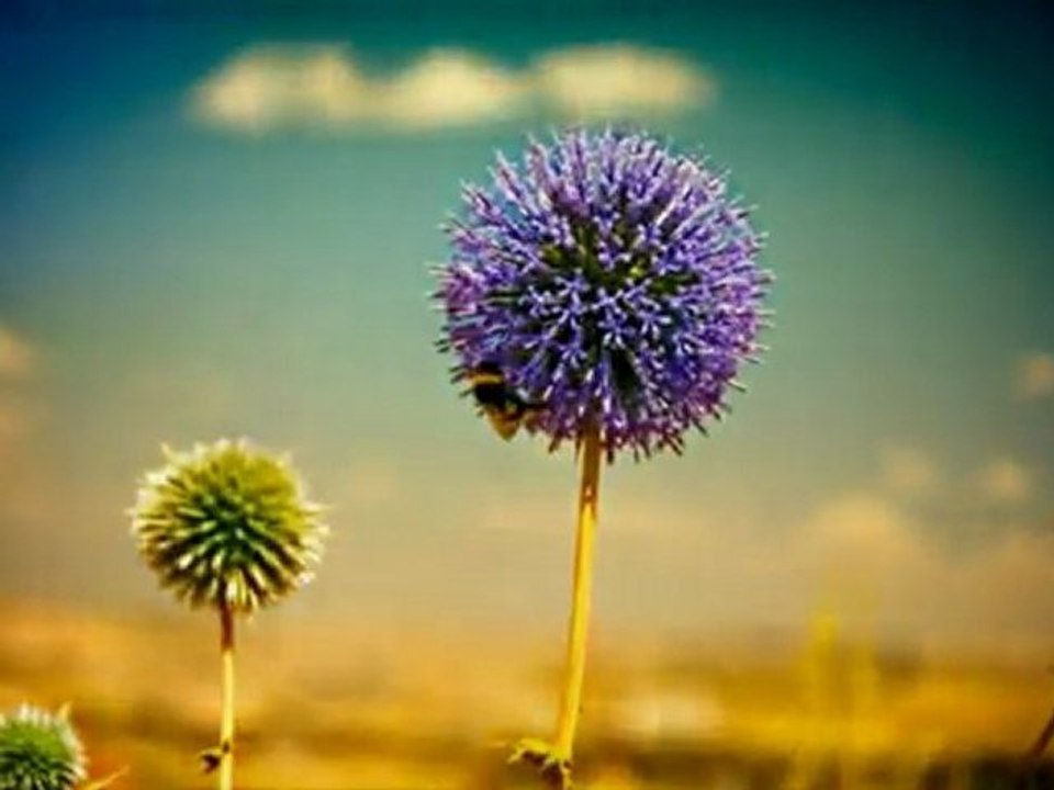 PORTFOLIO BY PAULINA RODRIGUEZ