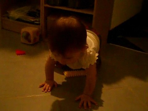 05.05.2010 premiers quatres pattes