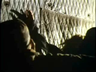 Body Snatchers (1993)