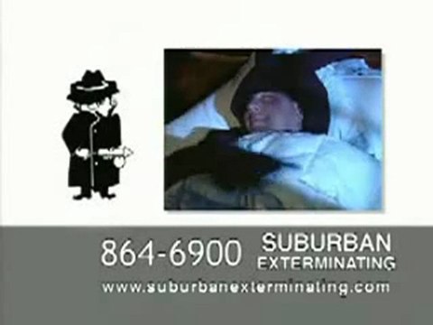 Bed Bugs Exterminator Long Island