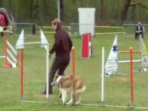 Atys et Clymens:week end agility