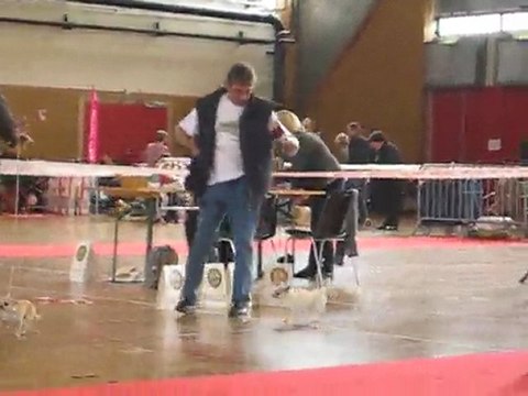 expo Amiens 1 mai 2010