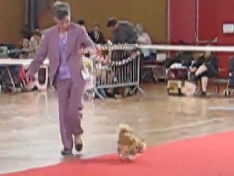 expo Amiens 1 mai 2010