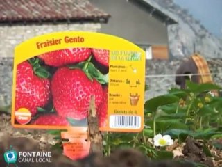 Eco-jardins collectifs