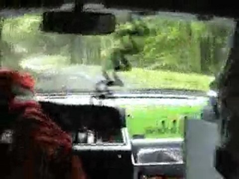 Rallye plaine et cimes 2010 es3