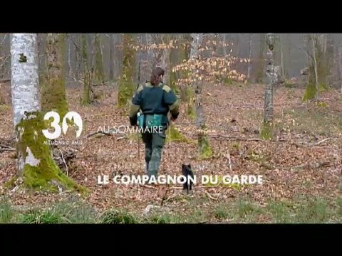 Sommaire émission 30 Millions d'Amis du 09 05 10