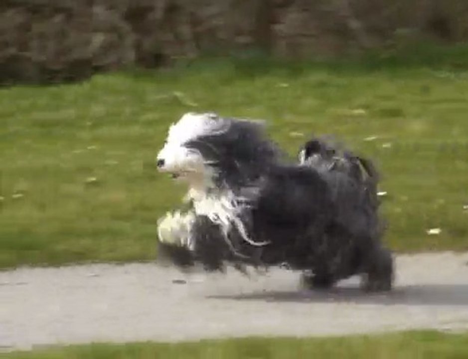 SULTANE des Sources du Salaison en Balade