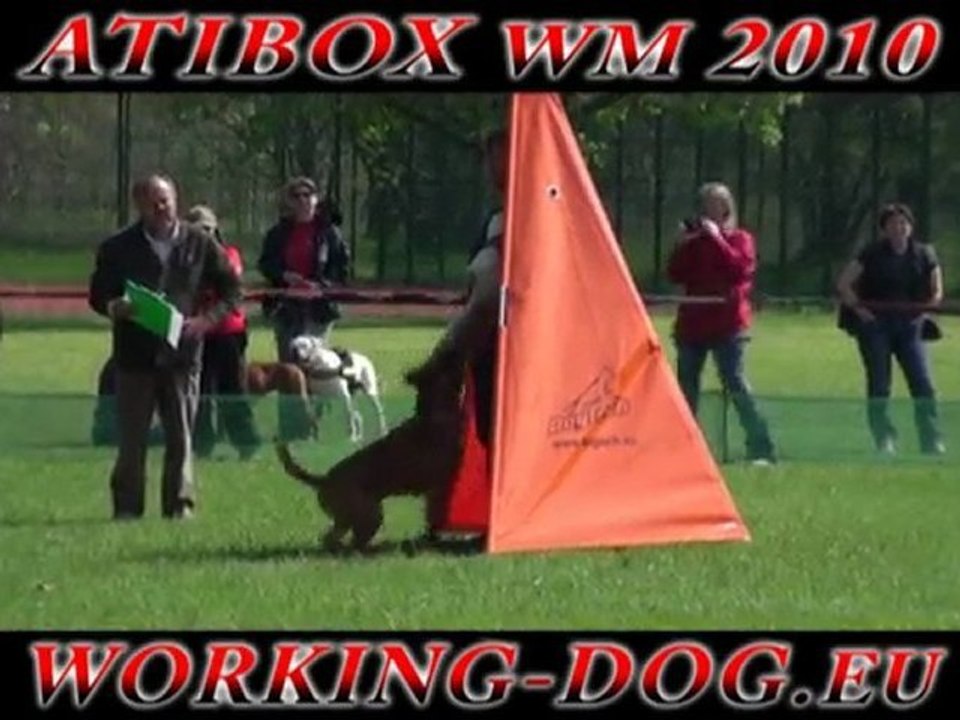 ATIBOX 2010 Oroshàza Ungarn Championship Dogsport