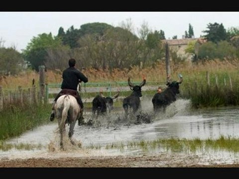 AIGUES MORTES 1 MAI MANADE CHABALLIER