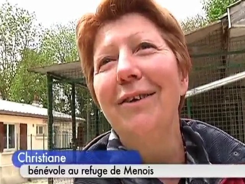 La SPA de Menois a besoin d'aide (Saint-Parres-aux-Tertres)