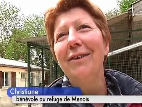 La SPA de Menois a besoin d'aide (Saint-Parres-aux-Tertres)