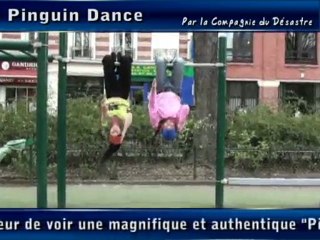 Flash Mob - La compil' - Compagnie du désastre