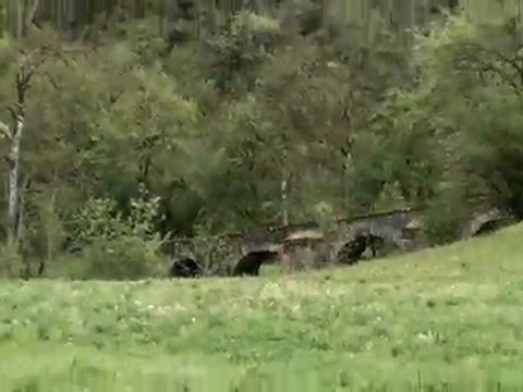 Randonnée Vtt du Muguet à Druelle, 1er Mai 2010.