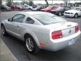 Used 2006 Ford Mustang Clearwater FL - by EveryCarListed.com