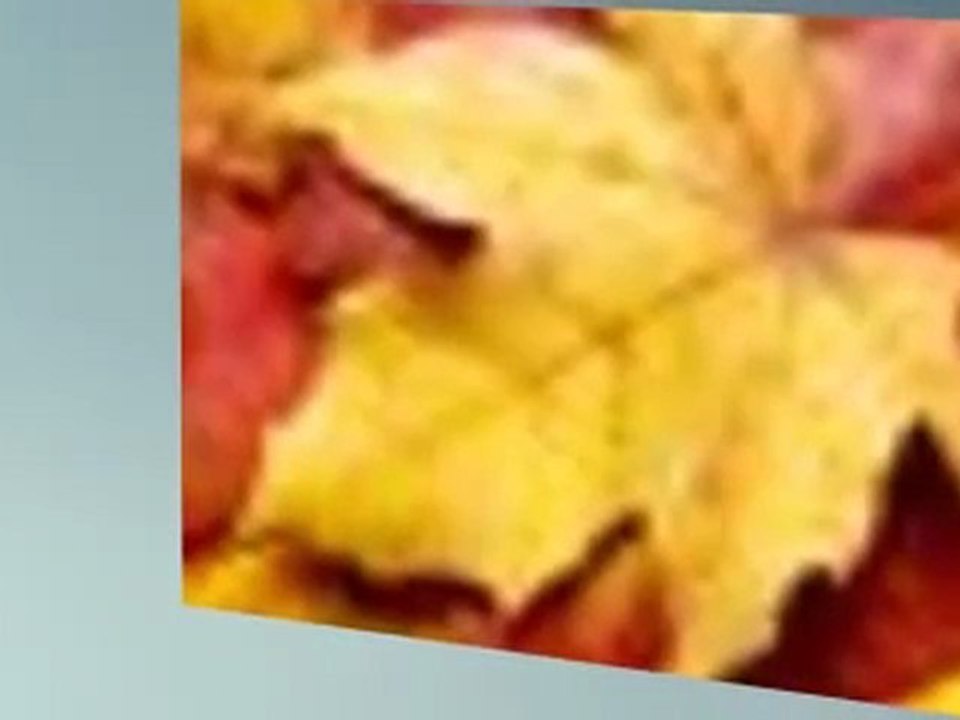 Buffalo Window Cleaning