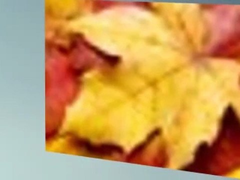 Buffalo Window Cleaning