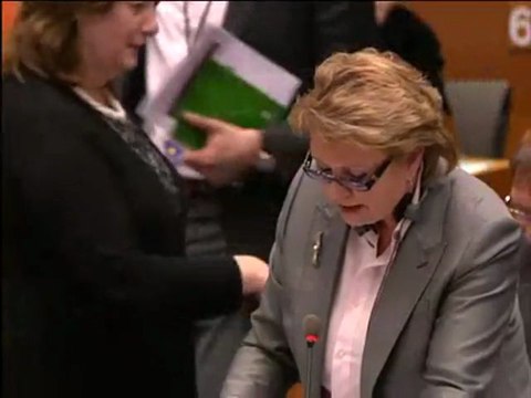 Siiri Oviir on Explanations of vote