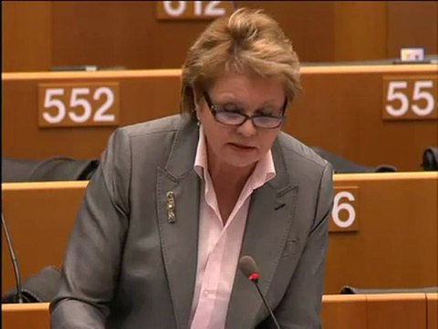 Siiri Oviir on Explanations of vote (II)