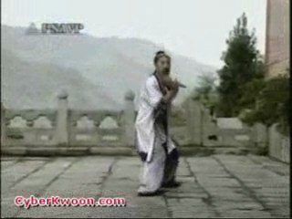 shaolin epee wudang