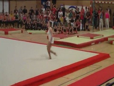 Gymnaestrada Rennes 2010 Grèce gymnastes